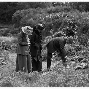 Morland House Quarry Garden