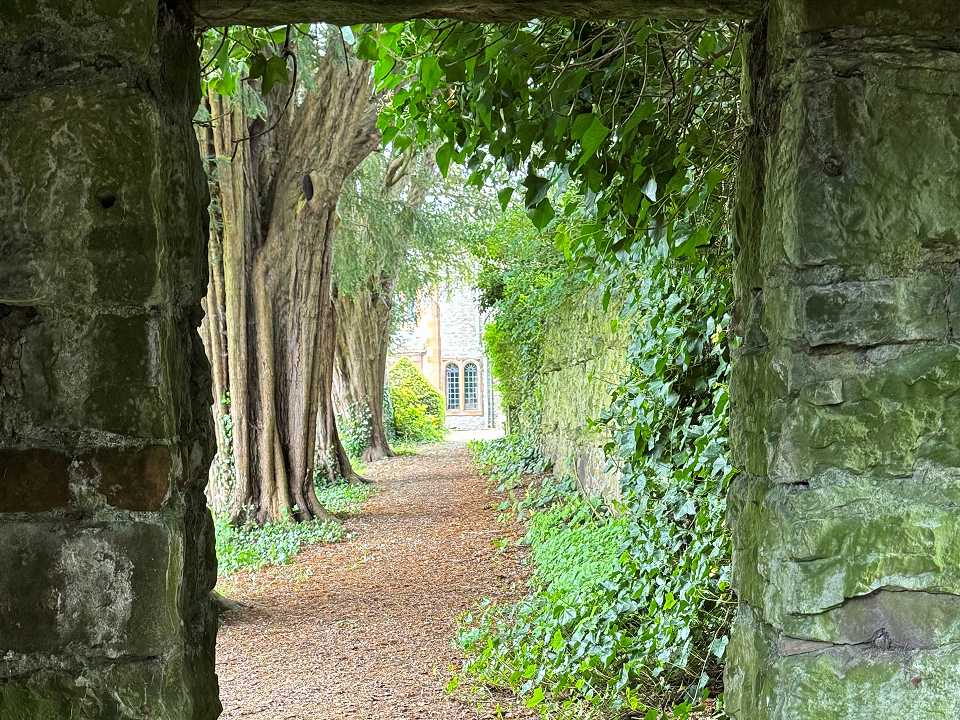 Morland House gardens - Church Walk